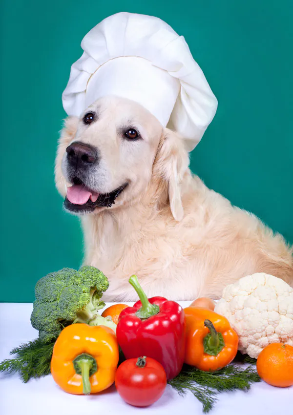 Овощи давать собакам