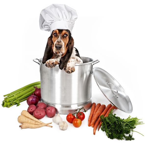 Какие овощи можно давать собакам