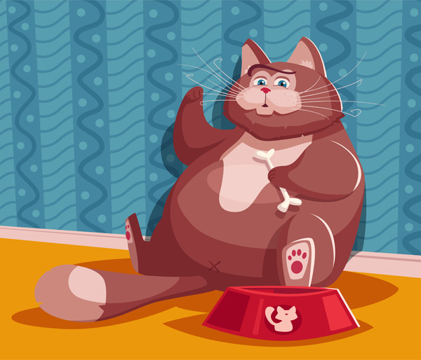 Ожирение, лишний вес у кошки