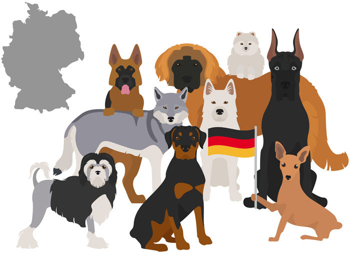 Немецкие породы собак