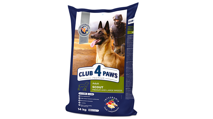 CLUB 4 PAWS Scout