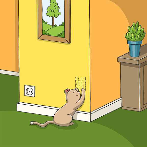 Кот рвет обои как отучить, кошка мяукает на стену